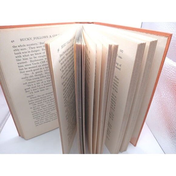 Bucky Follows A Cold Trail (1937) Classic Western By William MacLeod Raine - Picture 8 of 10